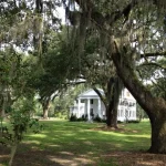 the beginning and the demise of old towne plantation
